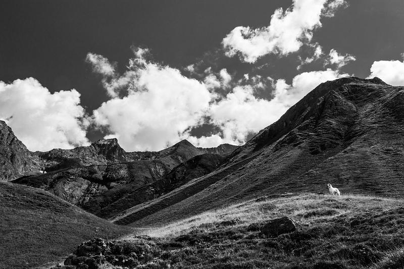 2018_08_19 (0045_black).jpg - rando lac et refuge de Muzelle (Aout 2018)